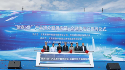 通過(guò)發(fā)行公司債券、不動(dòng)產(chǎn)投資信托基金（REITs）、培育上市公司等債權(quán)、股權(quán)融資工具和發(fā)起設(shè)立產(chǎn)業(yè)基金，拓寬多元化融資渠道；提供貨物在途監(jiān)管和在庫(kù)監(jiān)管，引入銀行、信托等金融機(jī)構(gòu)，開(kāi)展倉(cāng)單質(zhì)押、保理等業(yè)務(wù)；逐步拓展B2B供應(yīng)鏈服務(wù)平臺(tái)服務(wù)范圍，通過(guò)倉(cāng)配一體化、“隴易商”、供應(yīng)鏈+金融為區(qū)域流通行業(yè)及相關(guān)產(chǎn)業(yè)客戶(hù)提供“四流合一”的完整供應(yīng)鏈服務(wù)解決方案。