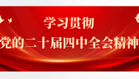  學(xué)習(xí)貫徹黨的二十屆四中全會精神 | 甘肅國際物流集團所屬企業(yè)學(xué)習(xí)貫徹黨的二十屆四中全會精神（五）
